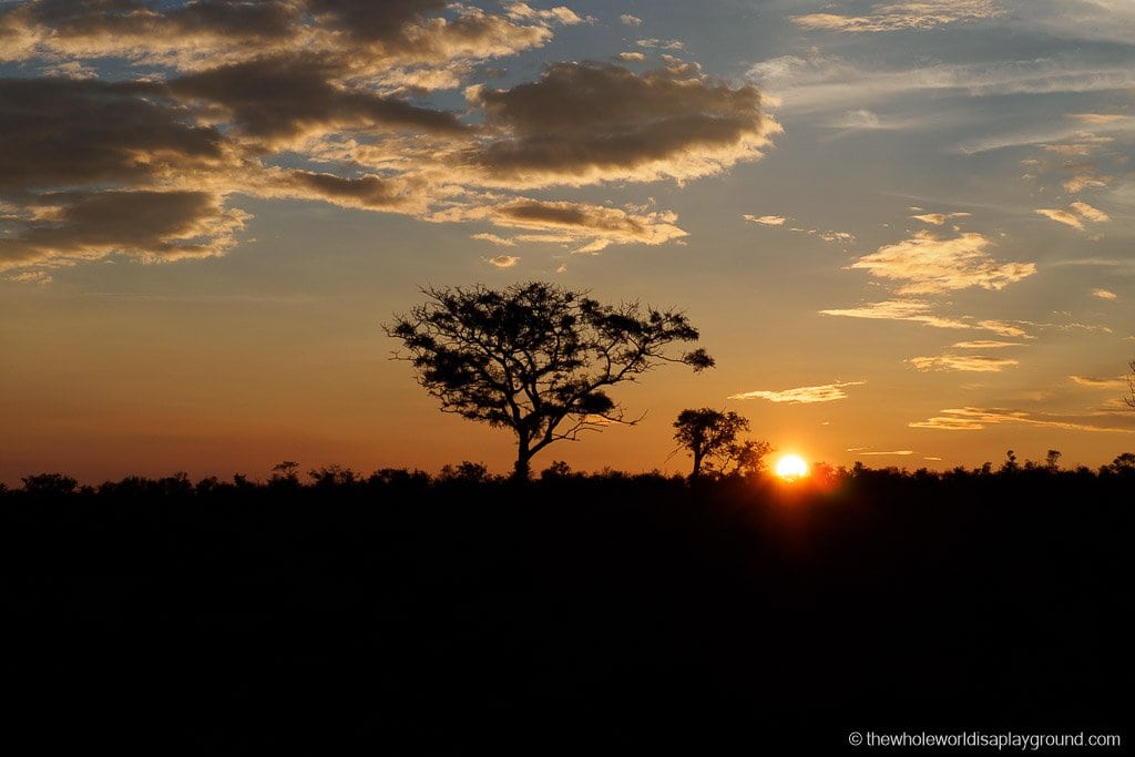 Sabi Sands Bed And Breakfast South Africa 96