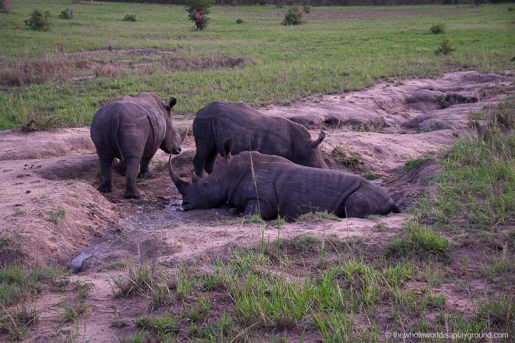 Sabi Sands Bed And Breakfast South Africa 11