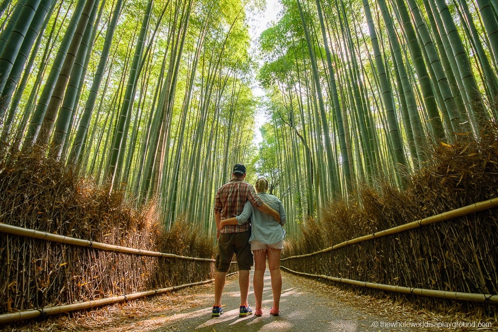 Best things to do in Kyoto: 15 Must See Sights | the whole world is a
