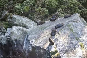 Milford Sound