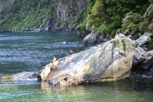 Milford Sound