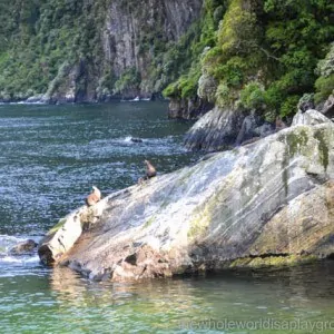 Milford Sound