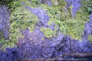 Milford Sound