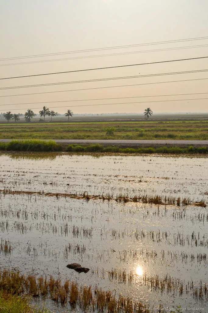 Bangkok to Siem Reap border crossing ©thewholeworldisaplayground