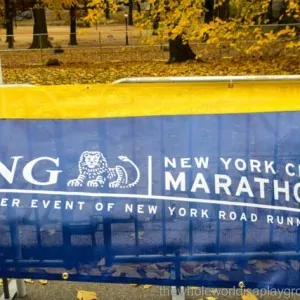 NYC marathon 2013