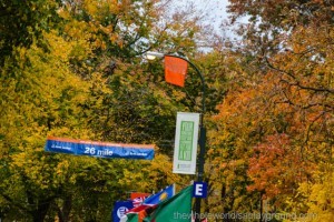 2013 New York Marathon