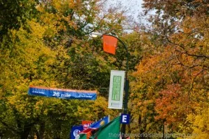 2013 New York Marathon