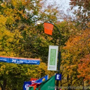 2013 New York Marathon