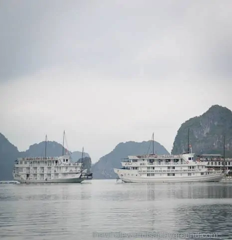 Bhaya Cruise Review Halong Bay ©thewholeworldisaplayground