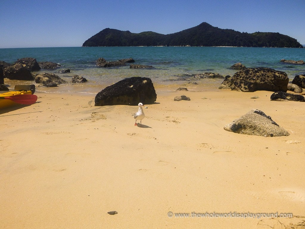 Kayak Abel Tasman @thewholeworldisaplayground