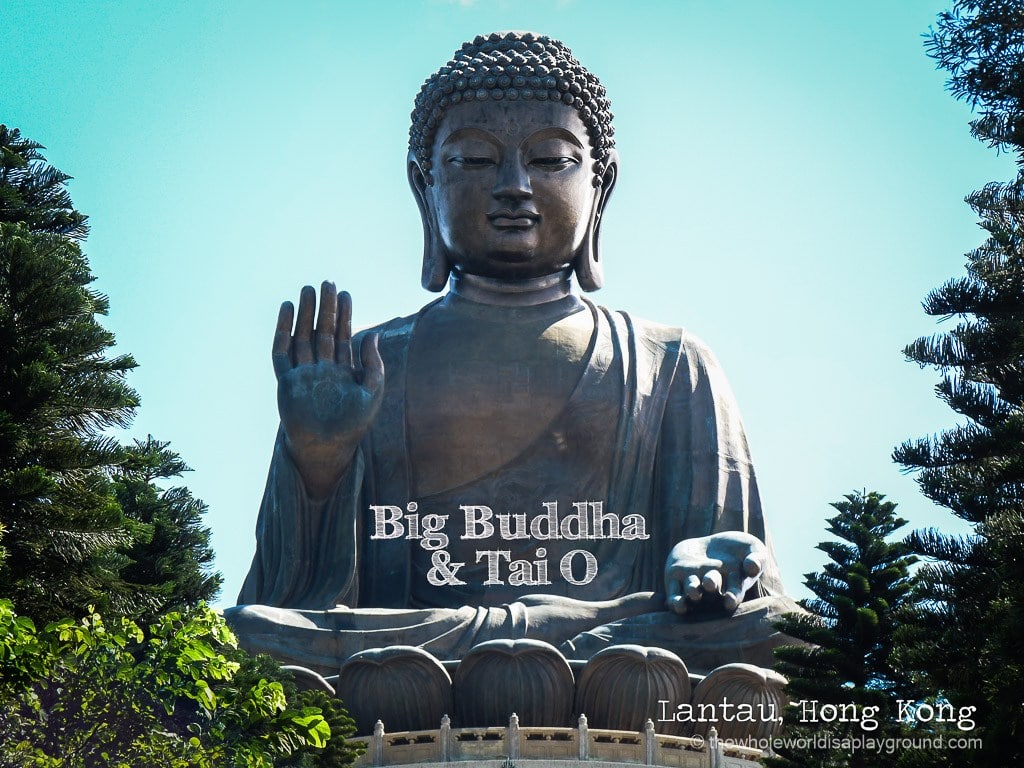 How to get to the Big Buddha and Tai O by public transport: Lantau, Hong Kong | The ...