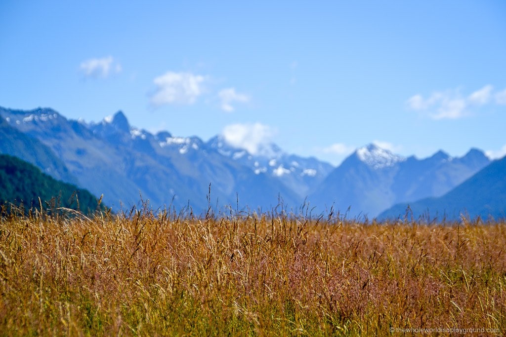 Road to Milford Sound ©thewholeworldisaplayground