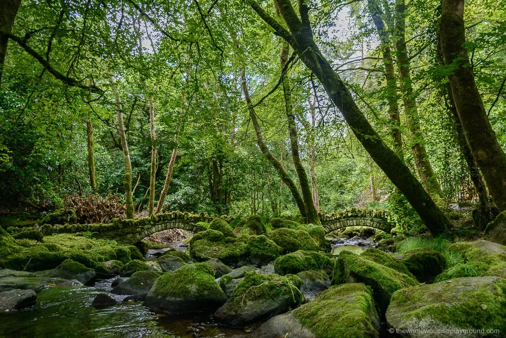 photos to inspire visit Ireland ©thewholeworldisaplayground