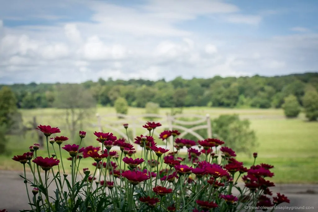 Mount Juliet Afternoon Tea ©thewholeworldisaplayground