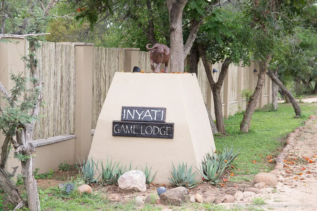 Inyati Game Lodge Sabi Sands South Africa Review ©thewholeworldisaplayground