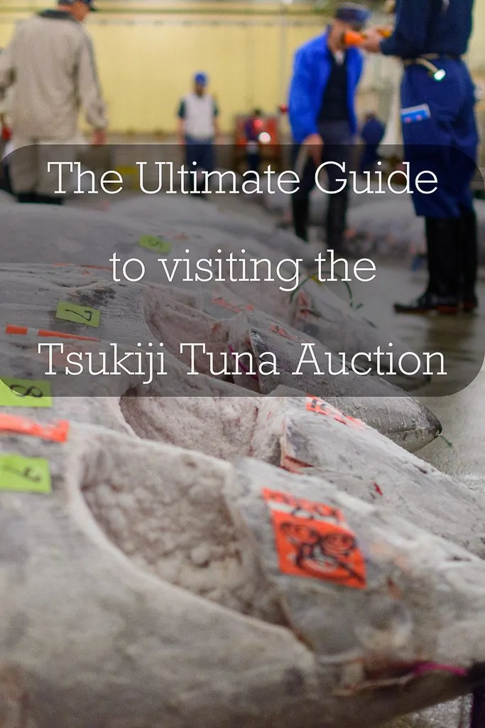 Visit Tsukiji fish market tuna auction Tokyo ©thewholeworldisaplayground