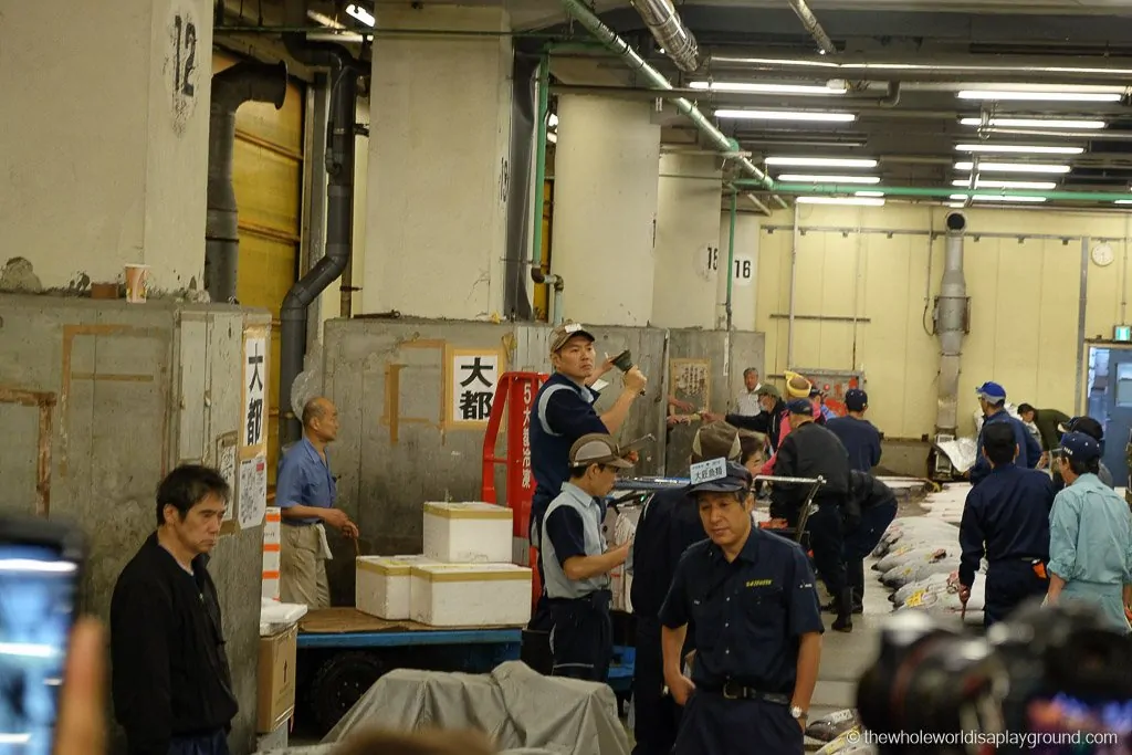 Visit Tsukiji fish market tuna auction Tokyo-35