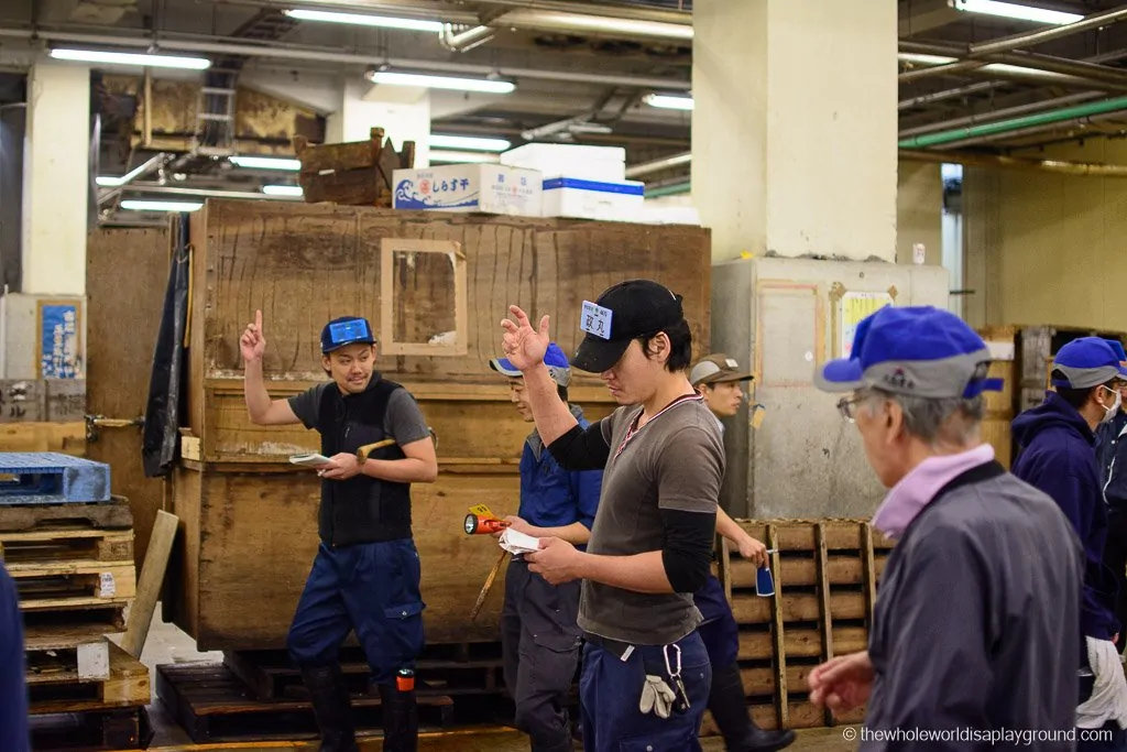 Visit Tsukiji fish market tuna auction Tokyo-39