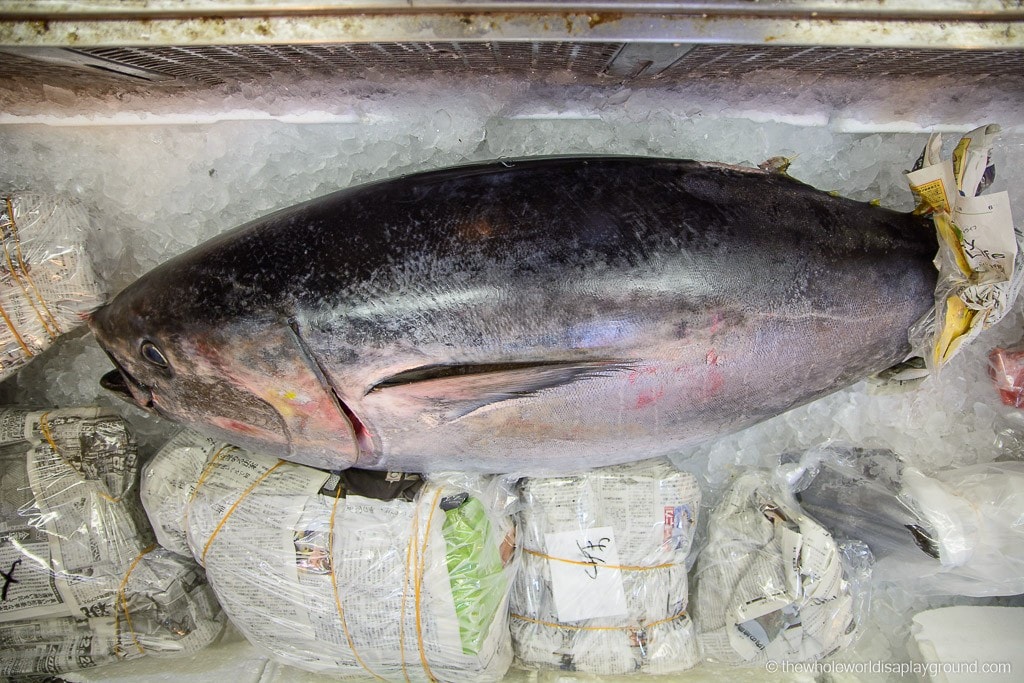 Visit Tsukiji fish market tuna auction Tokyo ©thewholeworldisaplayground