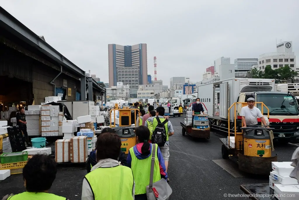 Visit Tsukiji fish market tuna auction Tokyo-48