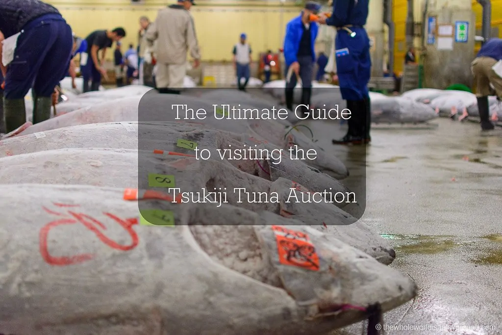 Click here for our tips on securing a place at the Tsukiji Fish Market Tuna Auction