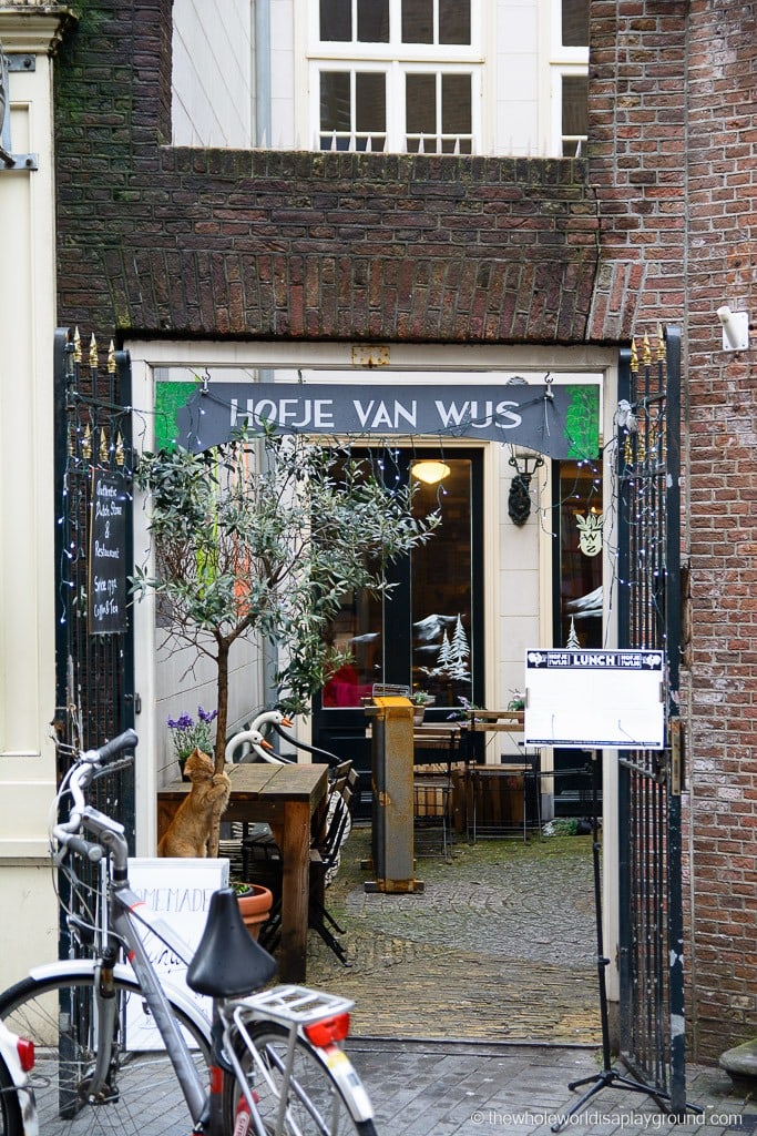 Amsterdam Best Food Must Eat Tourist-10