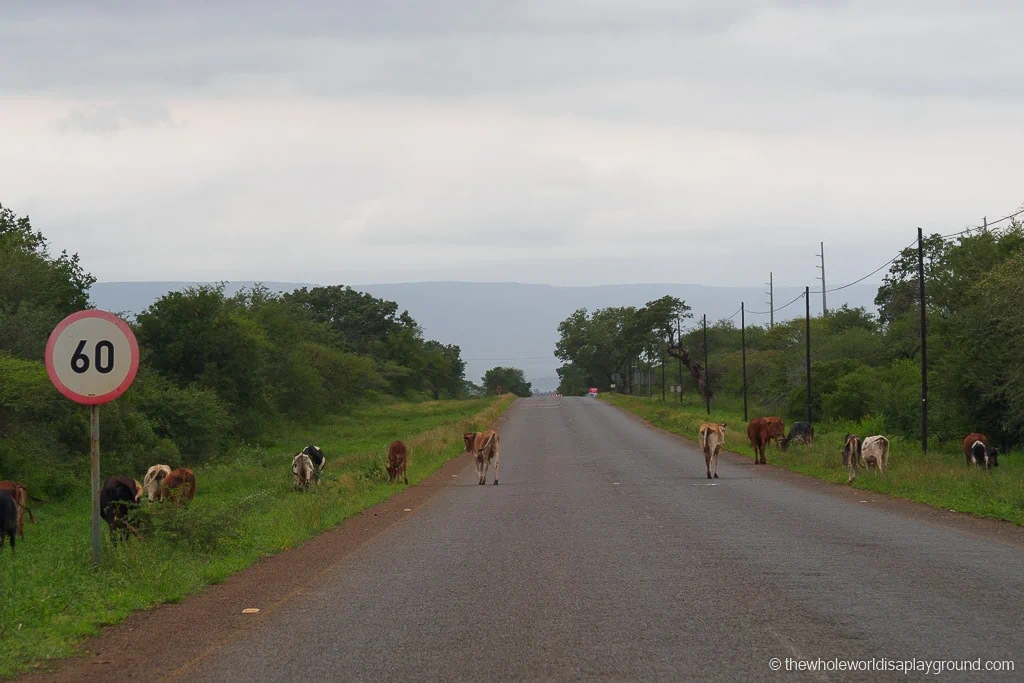 Renting a Car in South Africa