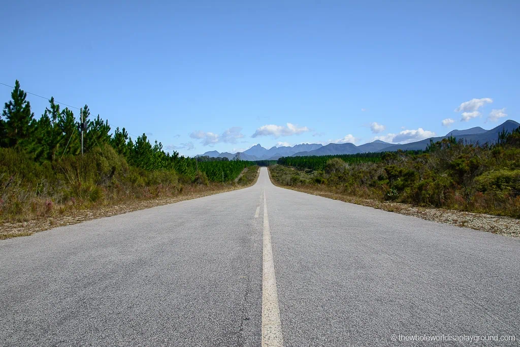 Renting a Car in South Africa