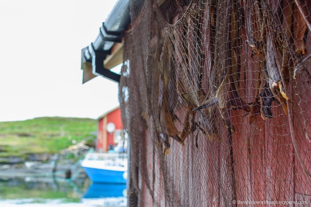 Norway Ultimate Must See Sights Road Trip-75