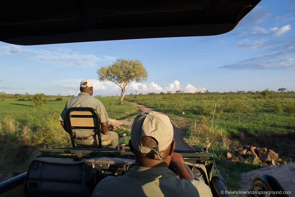 South Africa Kruger Safari Big 5 Best Photos-6