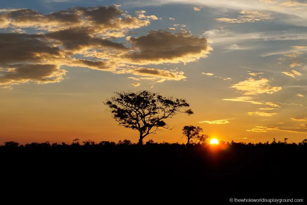 South Africa Kruger Safari Big 5 Best Photos-7