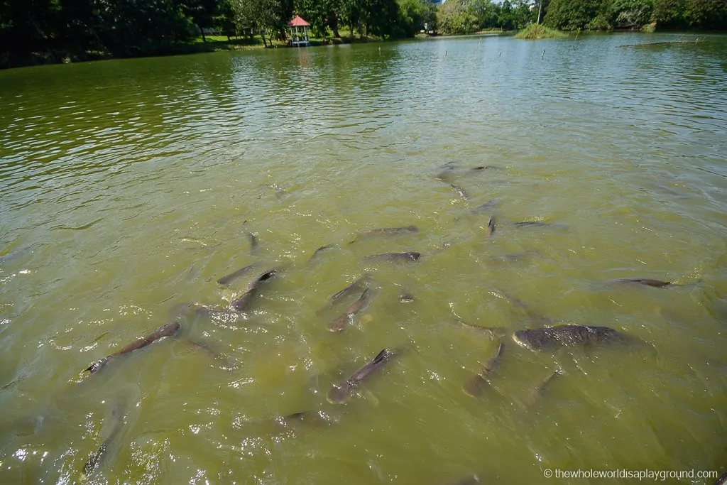 Myanmar Yangon Must See Sights-10