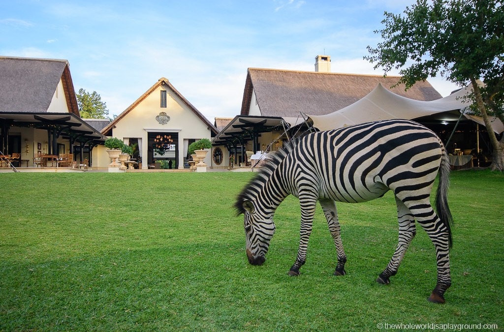 Hotel Review: Royal Livingstone Hotel, luxury at Victoria Falls!