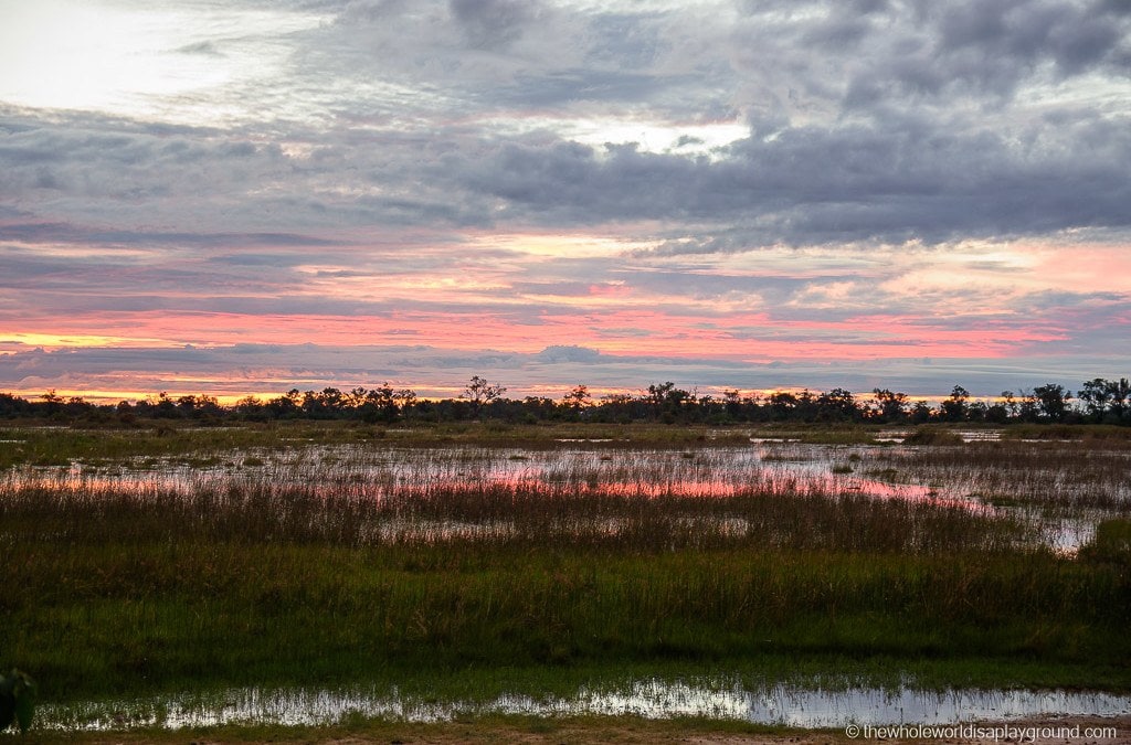 14 magical moments from the Okavango Delta, Botswana!