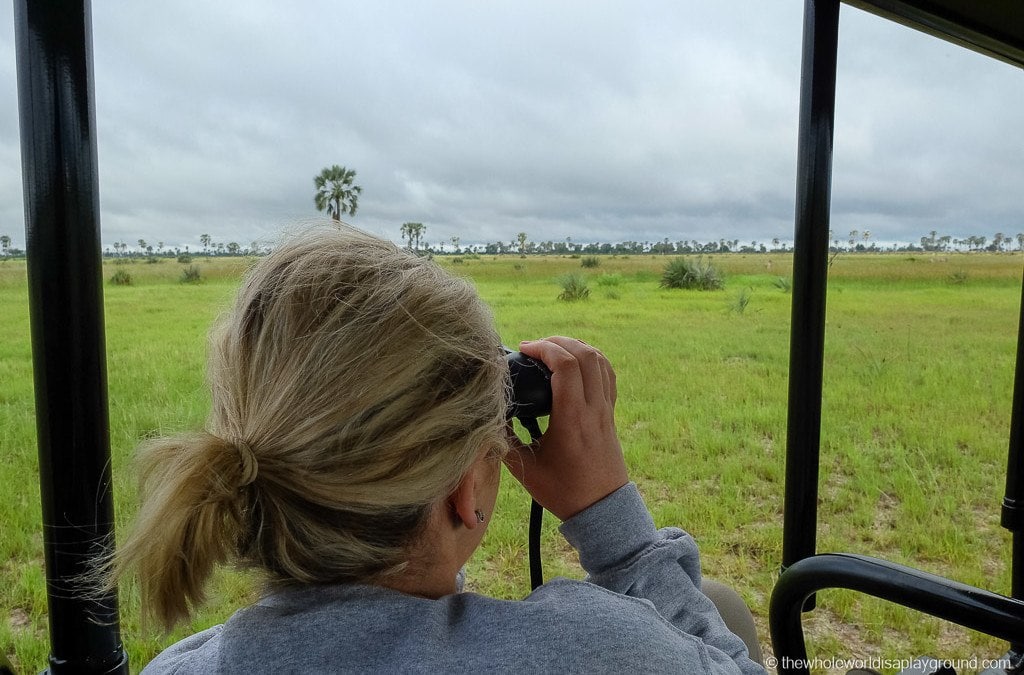 A day in the life of the Okavango Delta: a typical African Safari day!