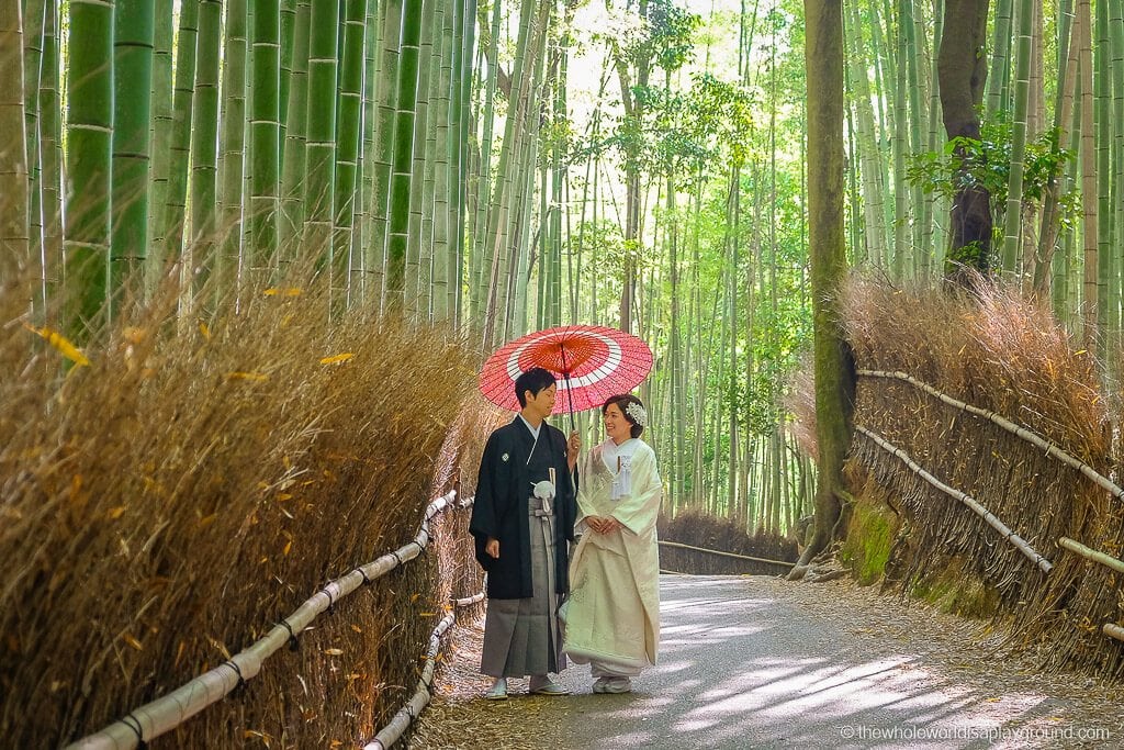 Arashiyama Bamboo Forest Kyoto The Whole World Is A Playground