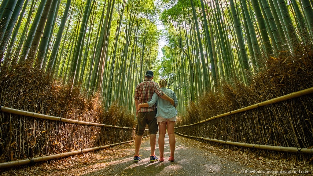 Bamboo forest kyoto