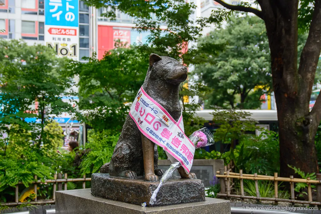 Hachiko things to do in Tokyo