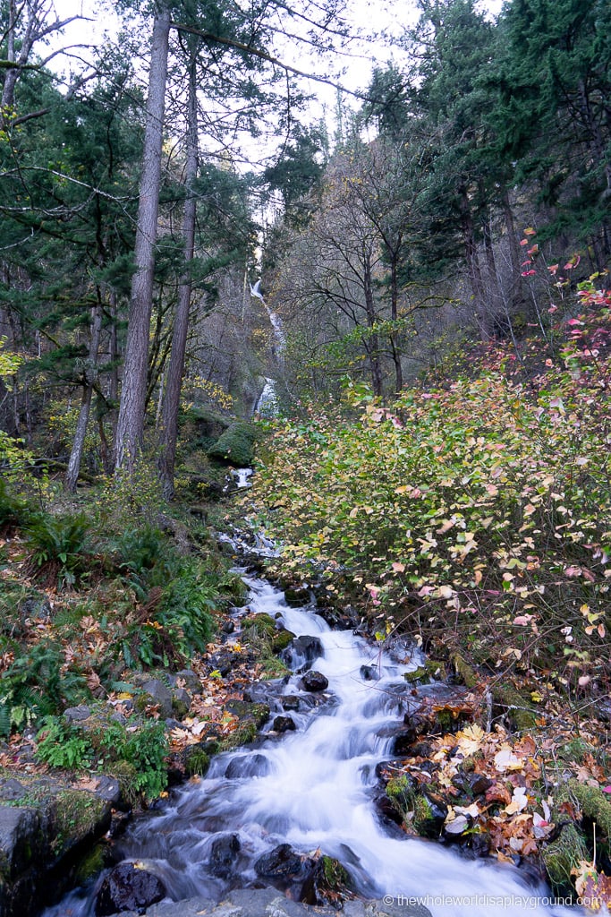 Portland Waterfalls
