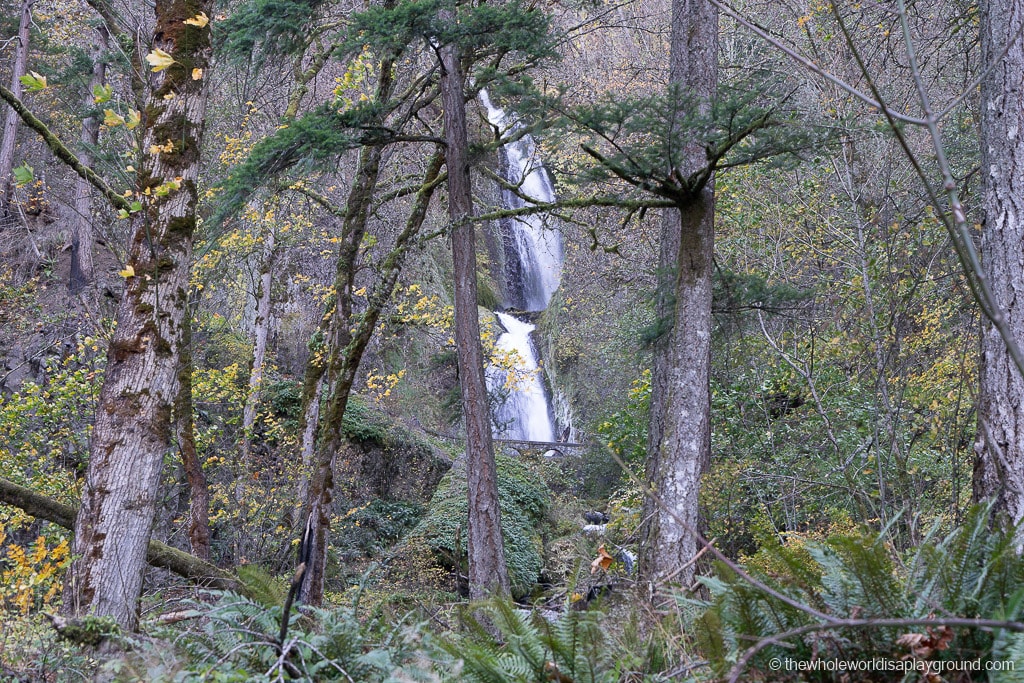 Portland Waterfalls