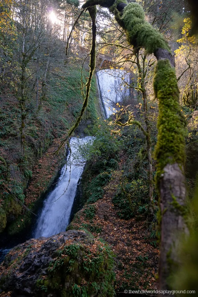 Portland Waterfalls