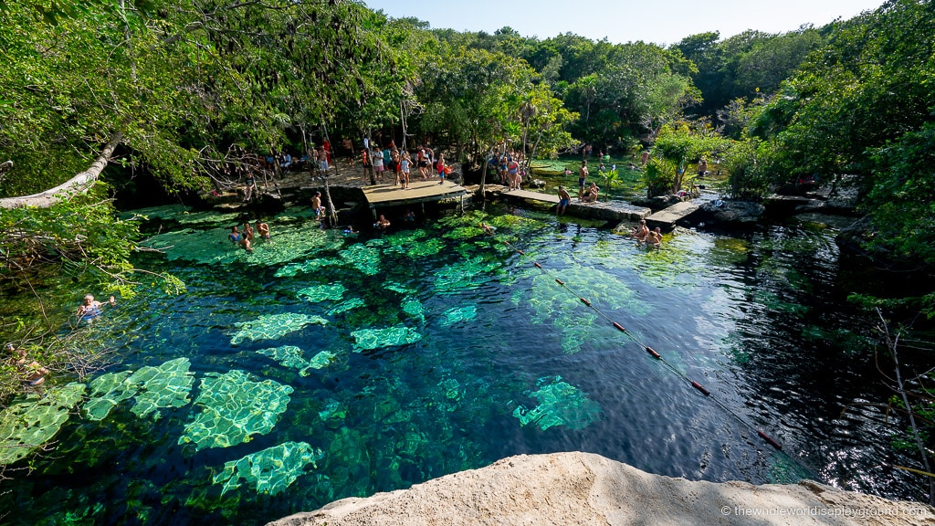 Cenote Azul: Ultimate Guide (2023) | The Whole World Is A Playground