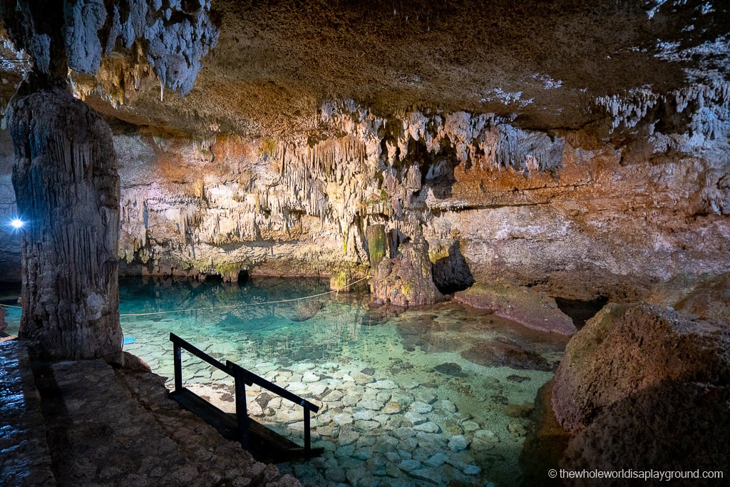 Cenote Choo Ha, Coba: Ultimate Guide (2022) | The Whole World Is A  Playground