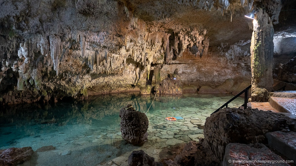 Cenote Choo Ha, Coba: Ultimate Guide (2022) | The Whole World Is A  Playground