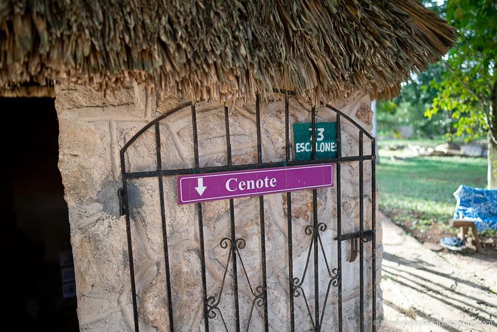 Cenote Oxman Valladolid