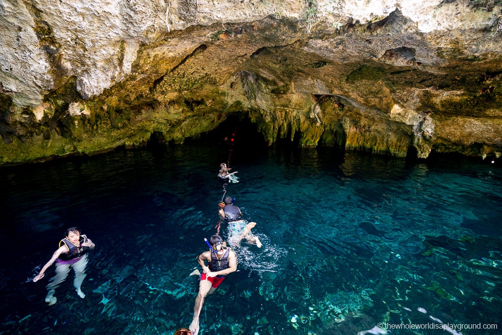 Gran Cenote Tulum: Ultimate Guide (2020)  The Whole World Is A Playground