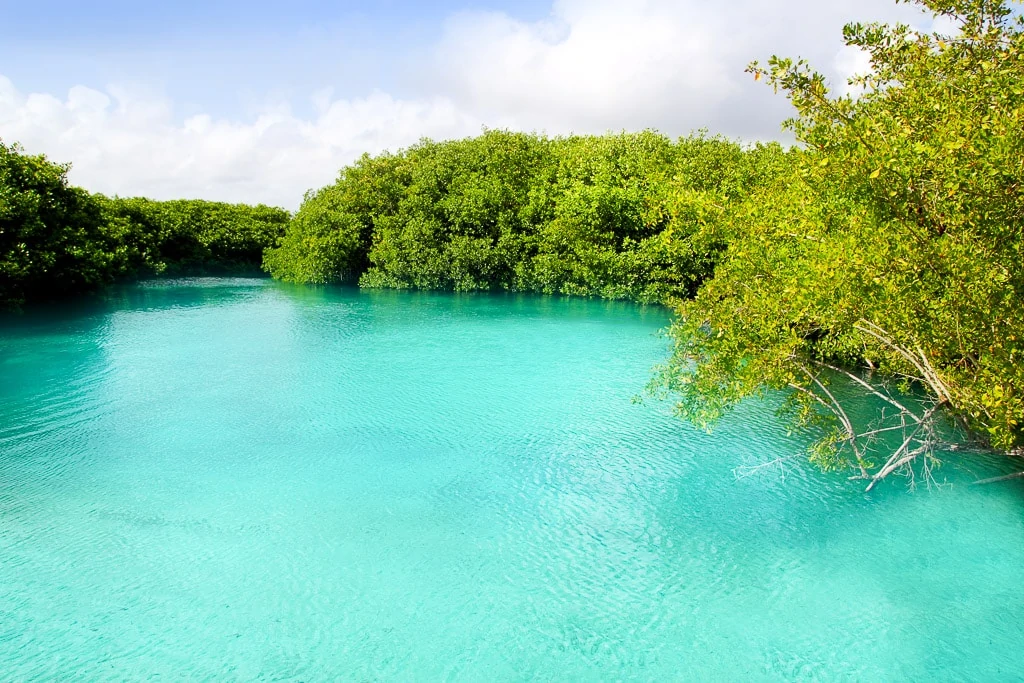 Playa del Carmen cenotes