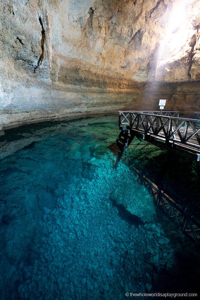 13 Best Cenotes near Playa Del Carmen (2020) The Whole World Is A Playground