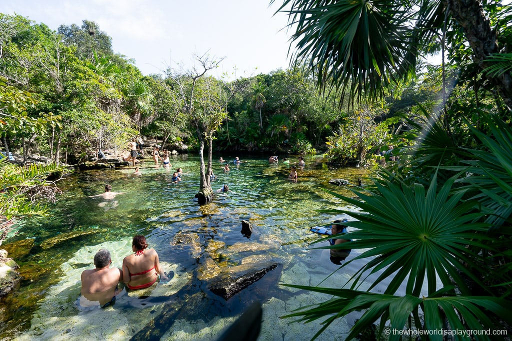 13 Best Cenotes near Playa Del Carmen (2020) | The Whole World Is A
