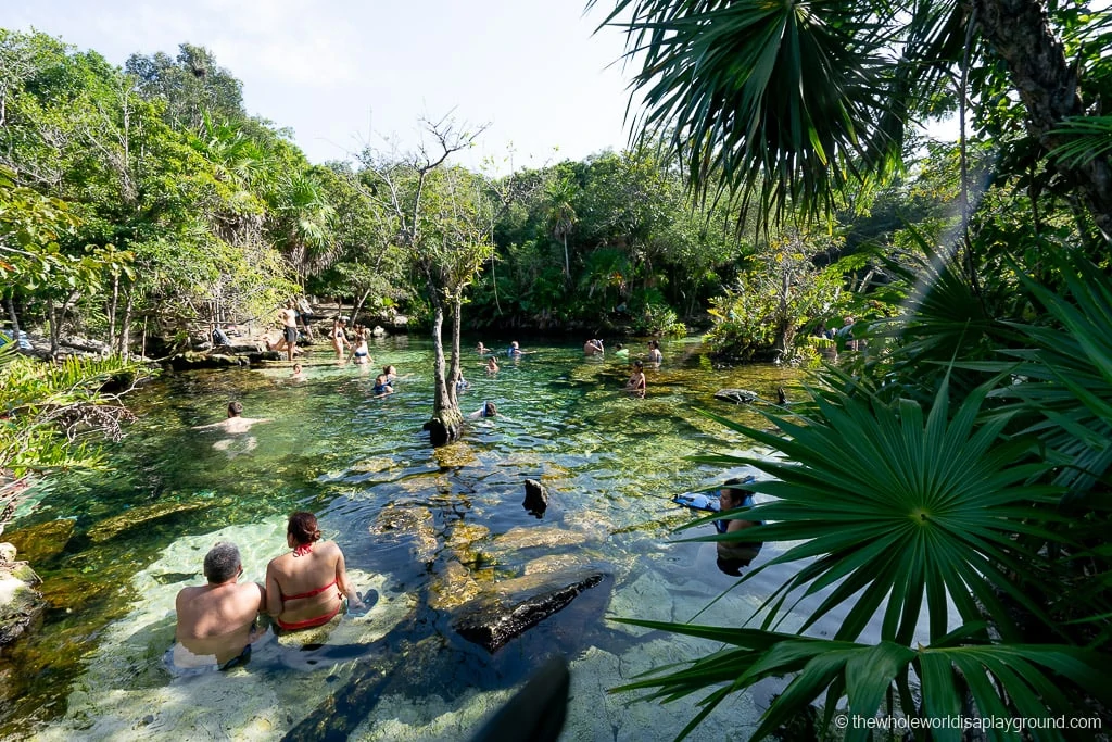 Playa del Carmen cenotes